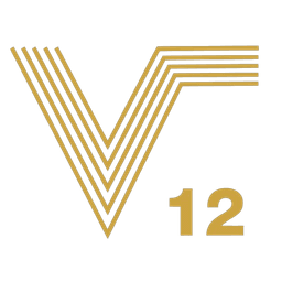 V12 logo